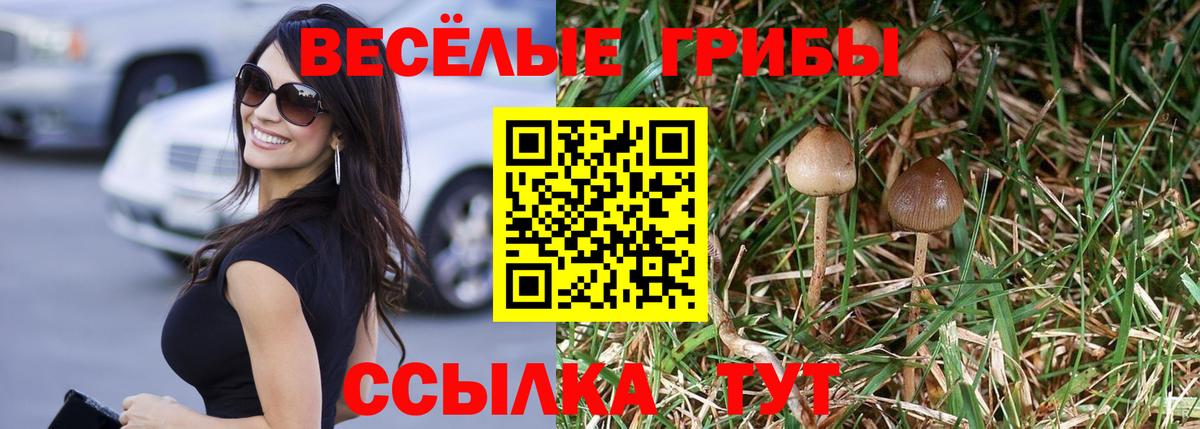 Псилоцибиновые грибы Psilocybine cubensis  магазин    Галлюциногенные грибы мухоморы  Подольск  Вход с VPN 
